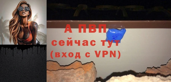 гидропоника Белокуриха