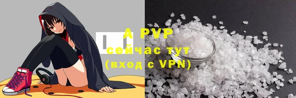 ГАЛЛЮЦИНОГЕННЫЕ ГРИБЫ Беломорск