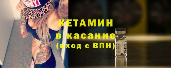 сатива Балахна