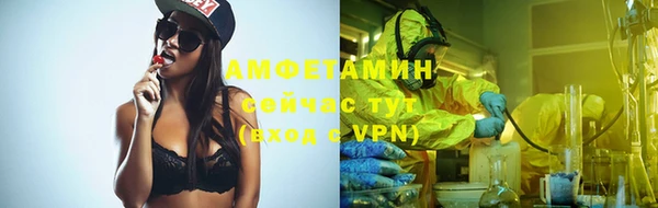 сатива Балахна