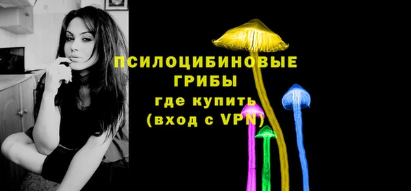 гидропоника Белокуриха